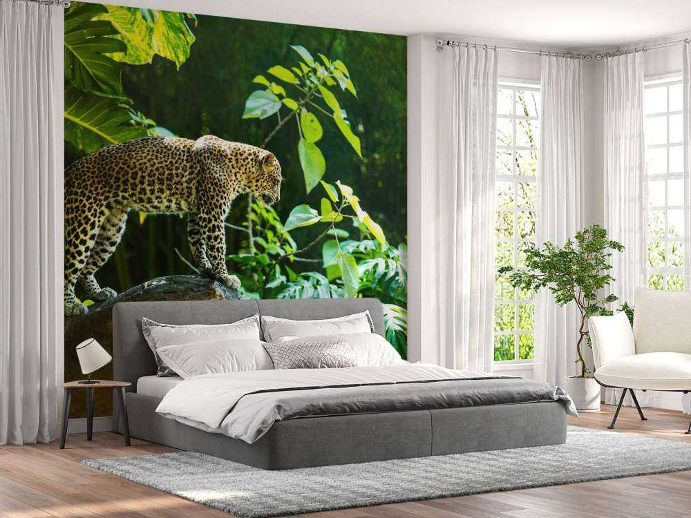 Luipaard op een rotswand