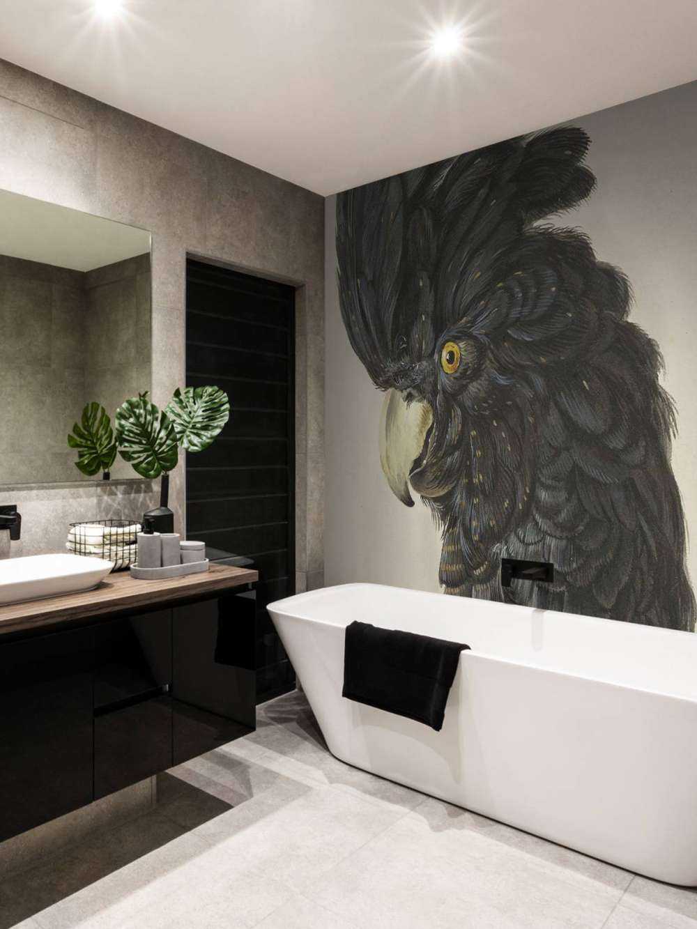 Black cockatoo portrait