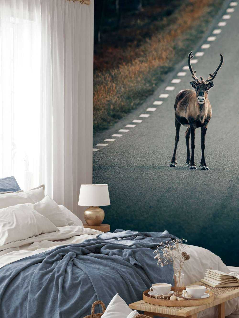 Rendieren op de weg