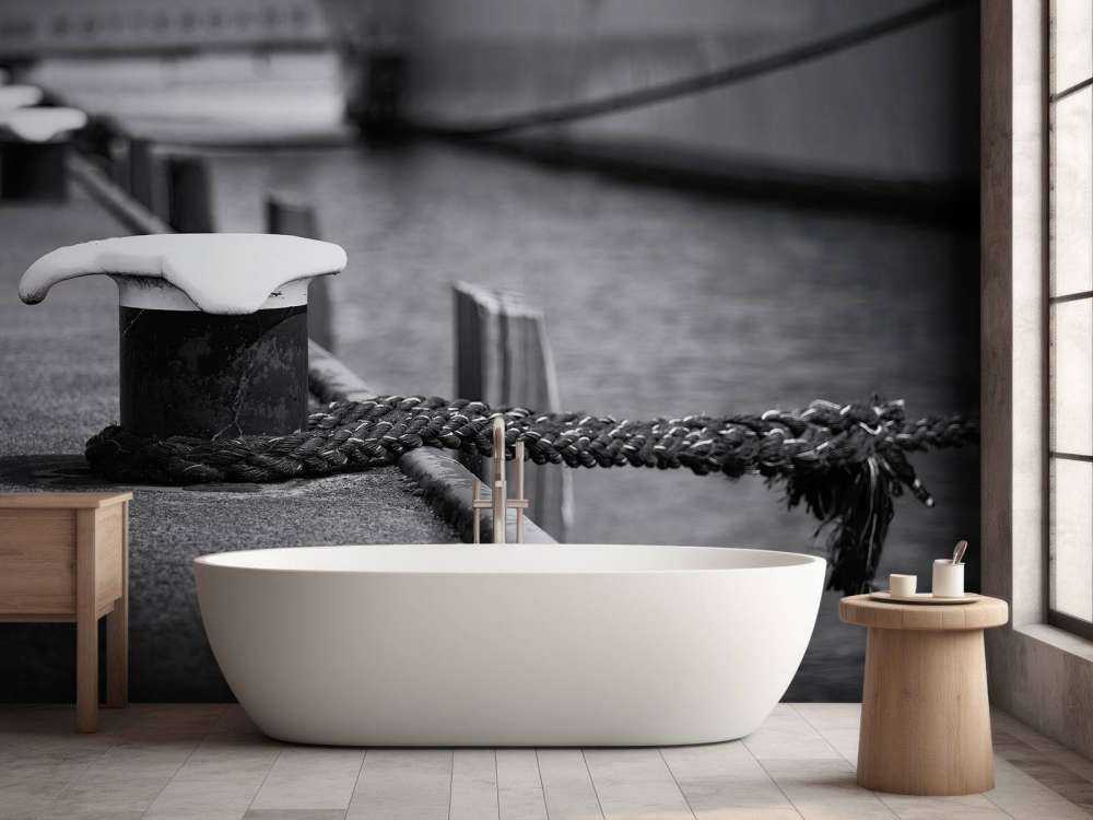 Aangemeerd passagiersschip  