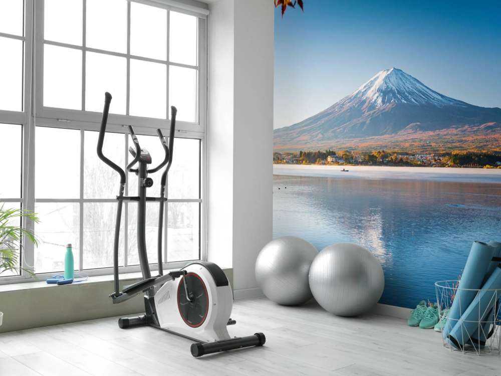 De Fuji berg in de middag