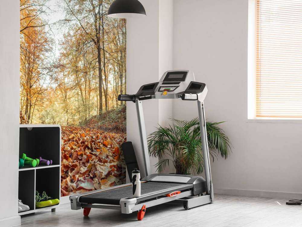 Boomstammen in herfstbos