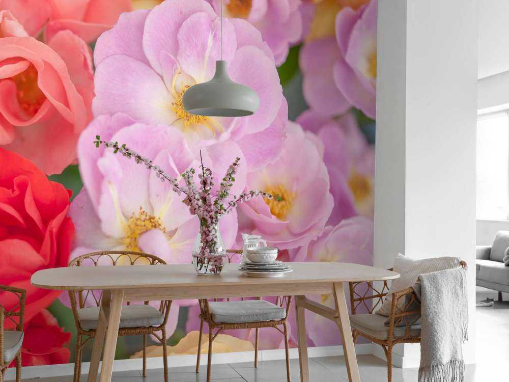 Kleurrijke bloemsoorten