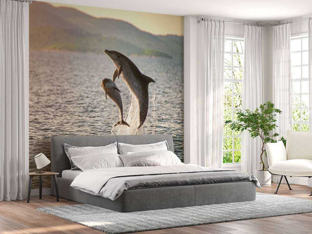 Twee springende dolfijnen