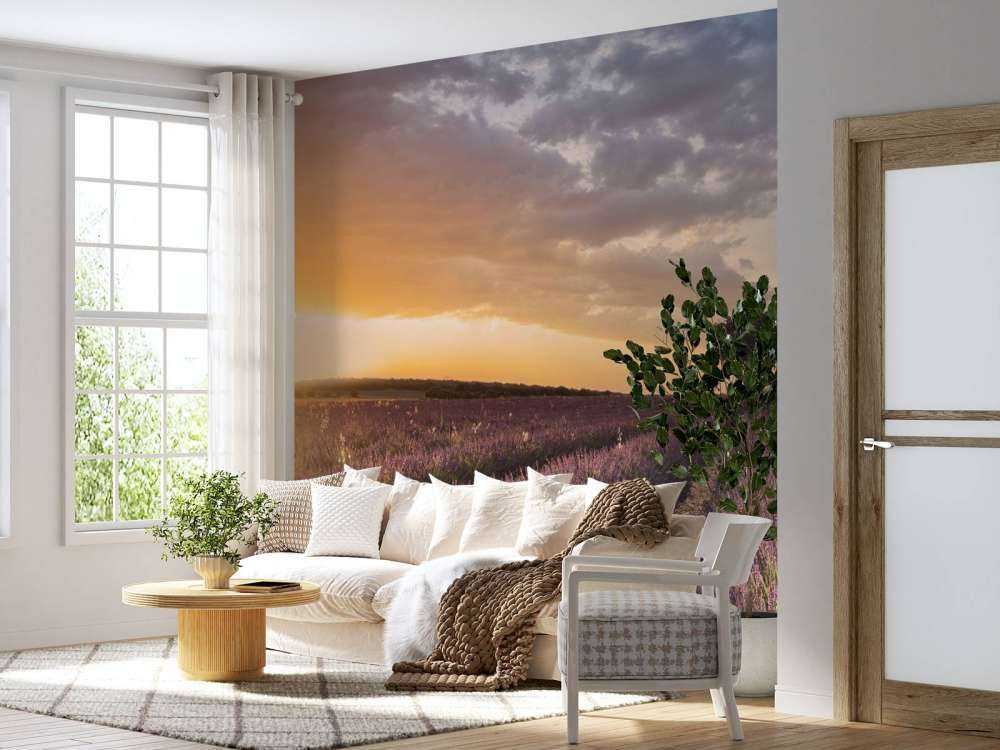 Destination lavender