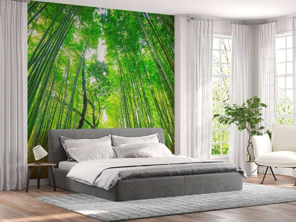 Bamboebos van Arashiyama