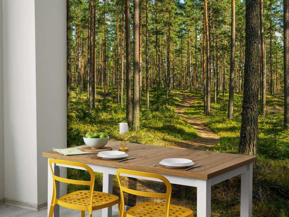 Wandelpad in dennenbos