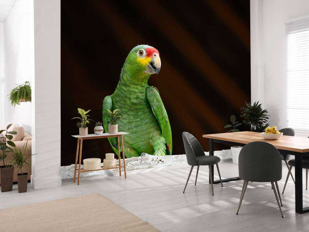 Nieuwsgierige papegaai