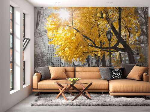 Een pad door Central park