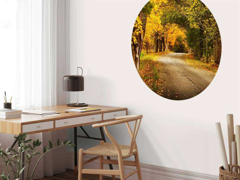 Weg met Bomen in de Herfst