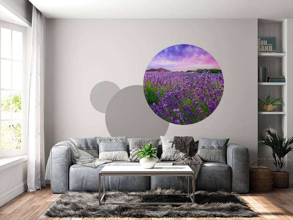 Lavendel met zonsondergang