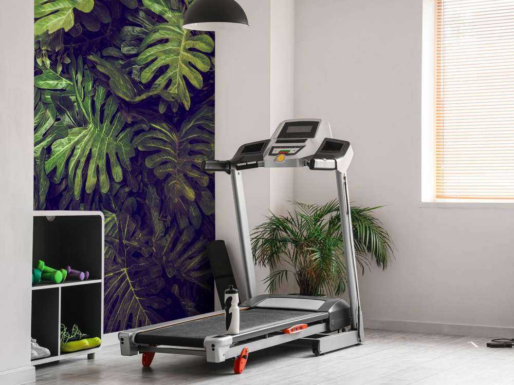 Groene Monstera Bladeren