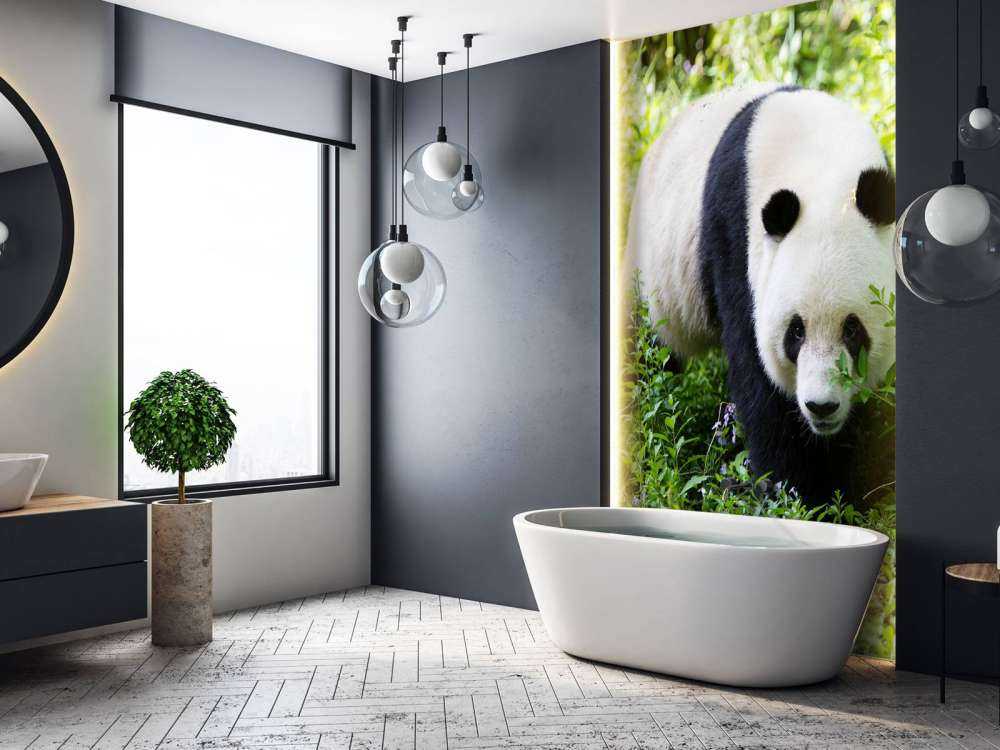 Panda in de natuur