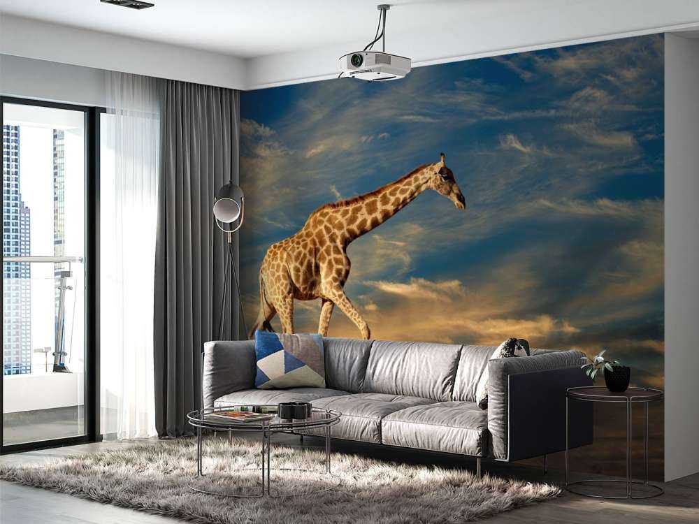 Giraffe in Zuid-Afrika lopend op zand