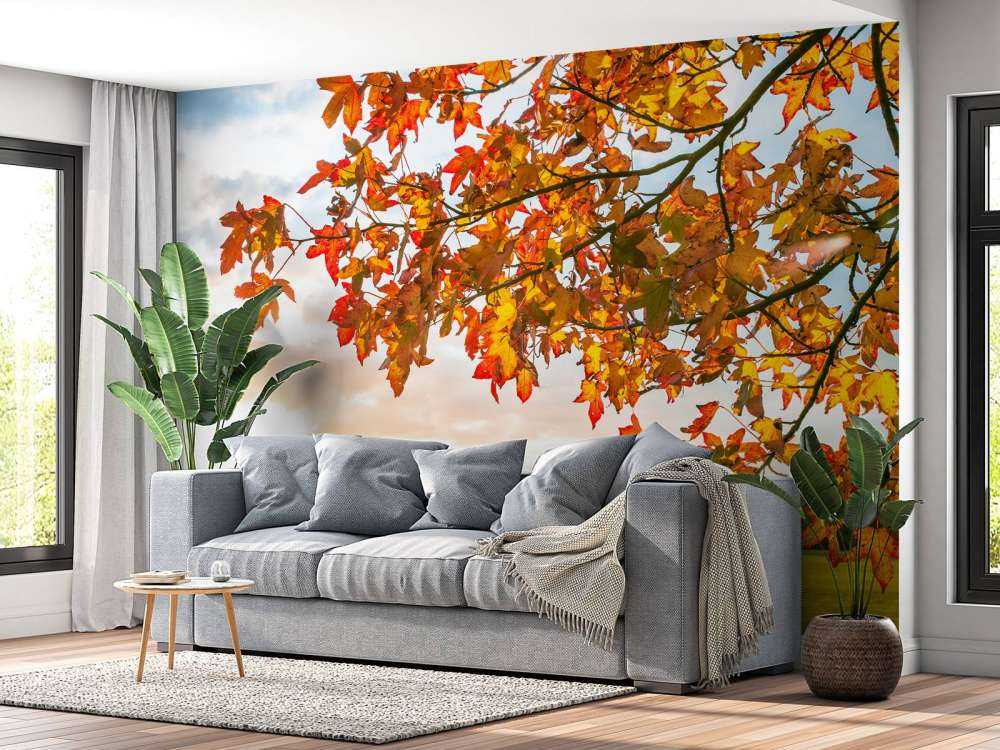 Herfstboom bij zonsondergang