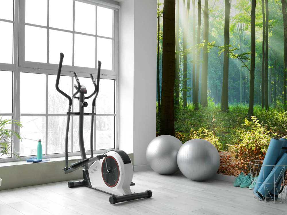 s Ochtends in het bos