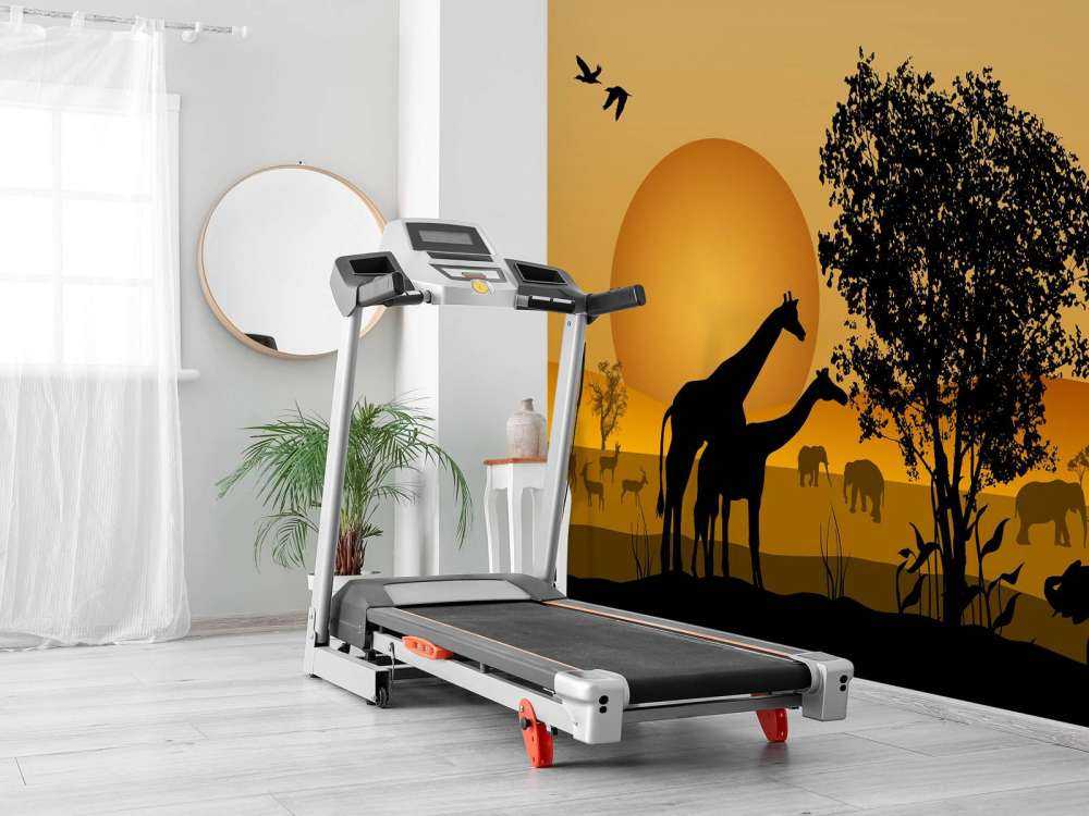 Zonsondergang in een Afrikaans veld