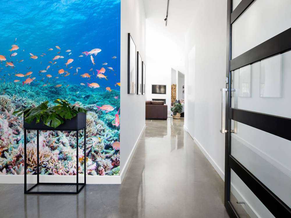 Koraalrif met kleine visjes