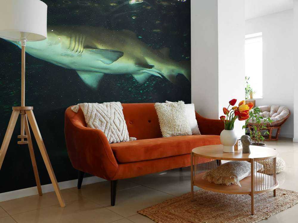 Grote witte haai in een aquarium