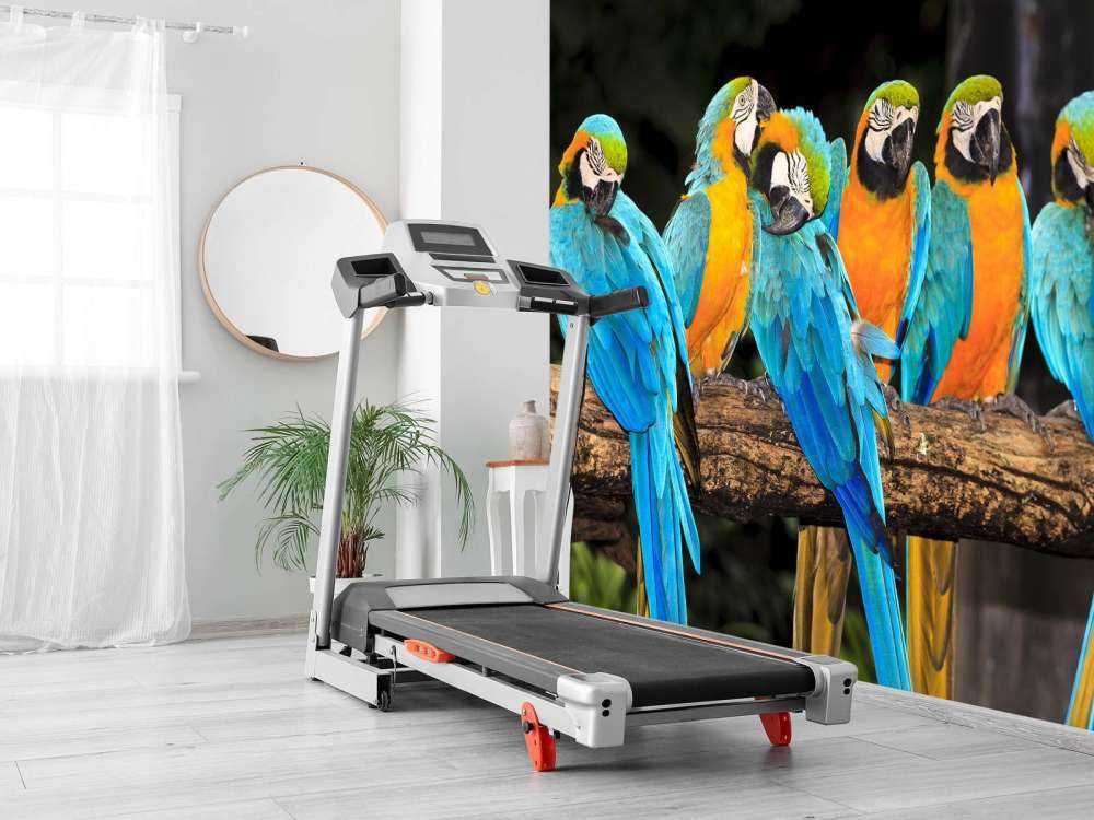 Papegaaien op een tak