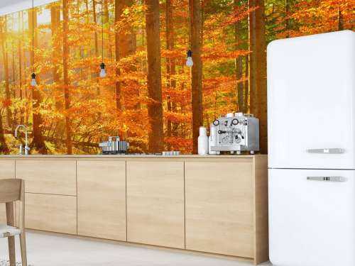 Herfstbos