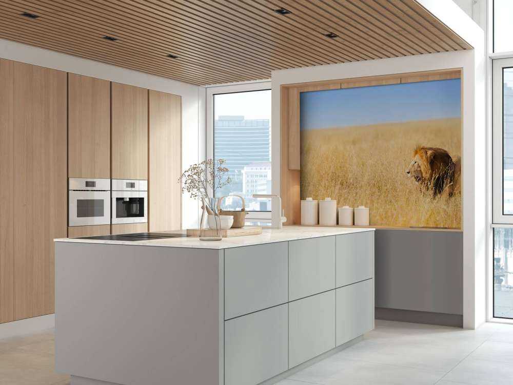 Afrikaanse leeuw op zoek naar een prooi