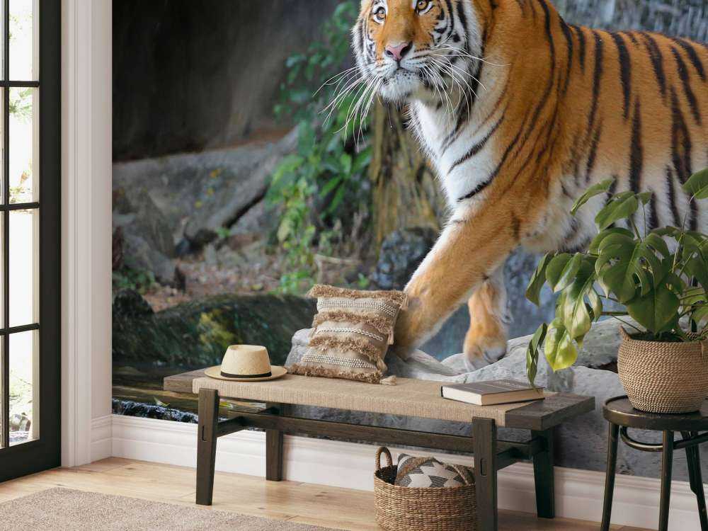 Een grote Sumatraanse tijger