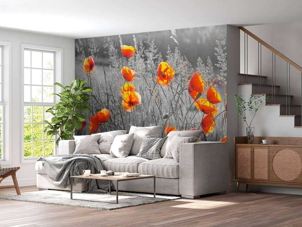 Oranje klaprozen met een zwart-witte achtergrond