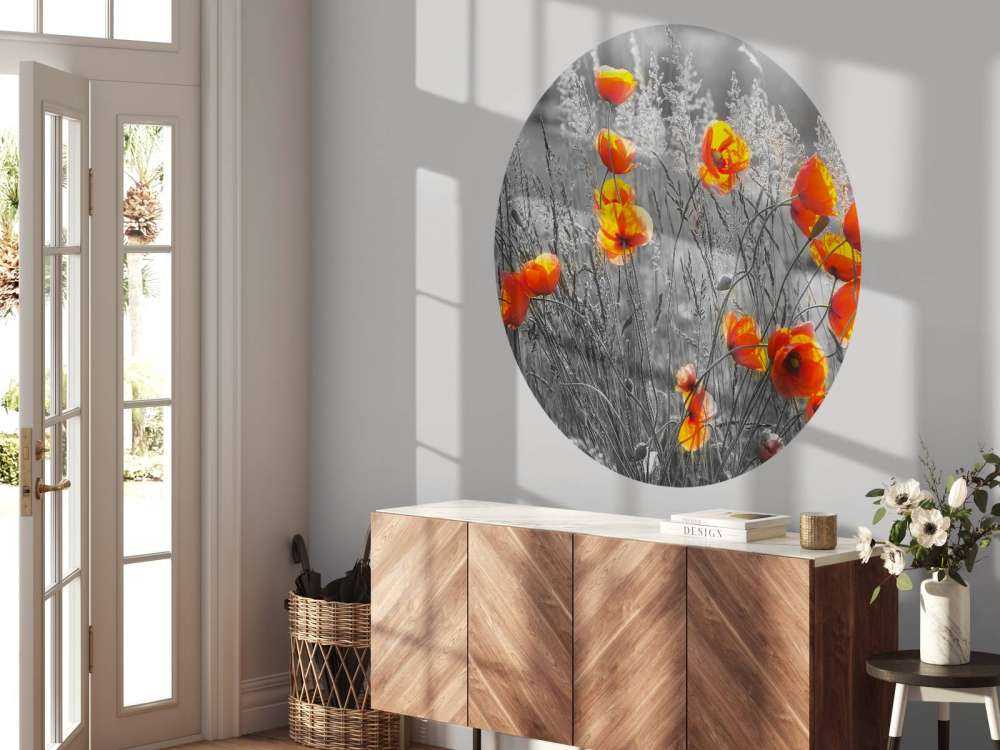 Oranje klaprozen met een zwart-witte achtergrond