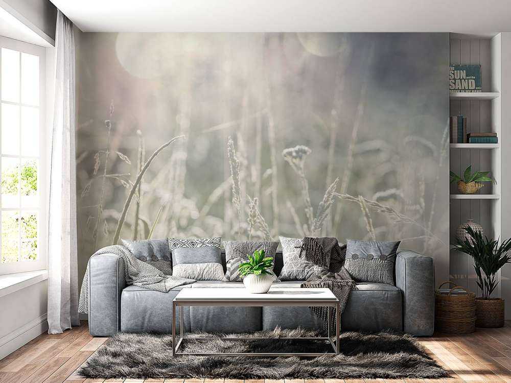 Weide planten in de zon met een wazige achtergrond