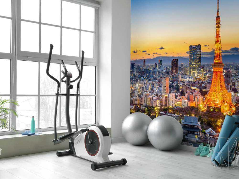 De skyline van Tokyo met de Tokyo Tower