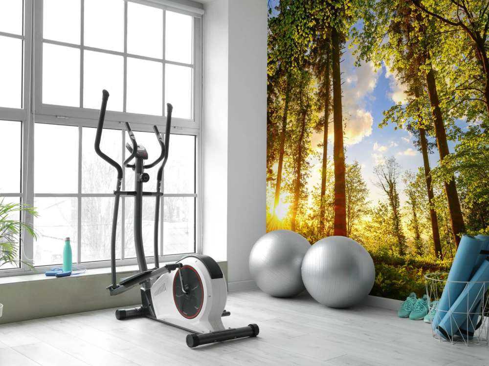 Zonsondergang door de bomen