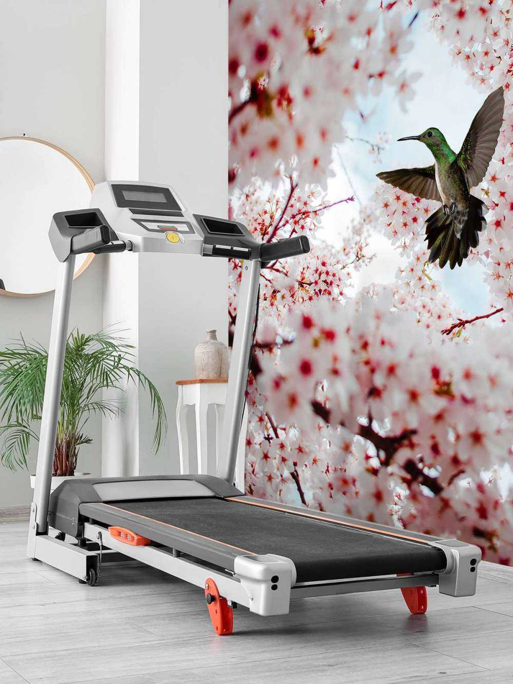 Kolibrie tussen de bloesems