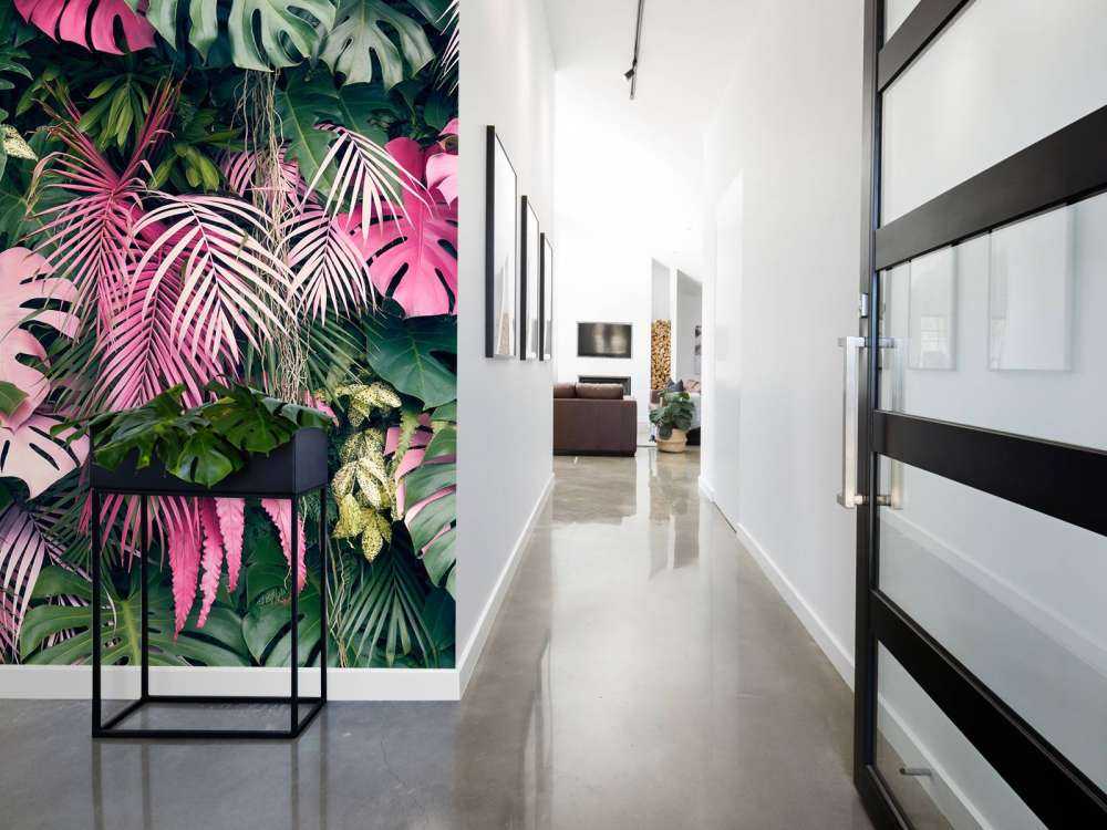 Gevarieerde en kleurrijke bladeren