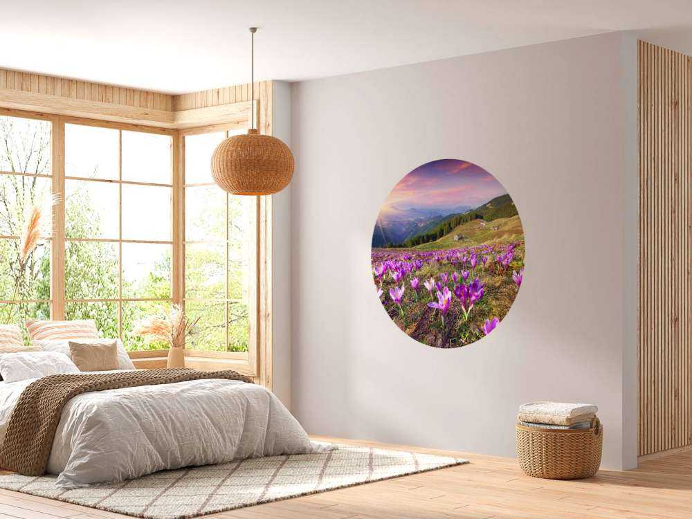 Bloemenveld van krokussen in de bergen