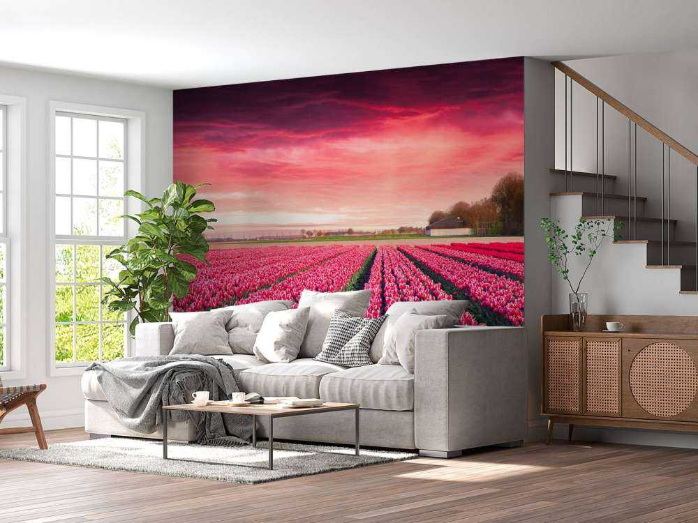 Roze tulpenveld met dynamische kleuren