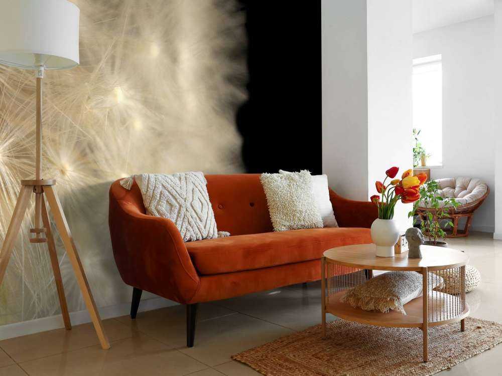 Paardenbloem met zwarte achtergrond