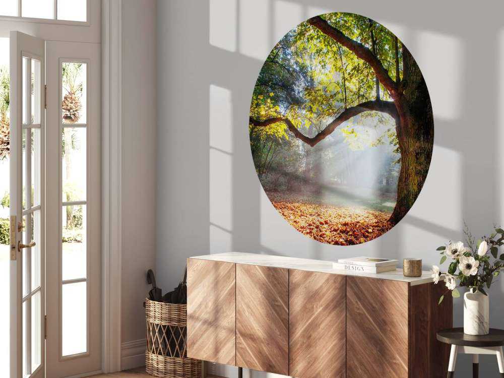 Mooie Eik in het Bos