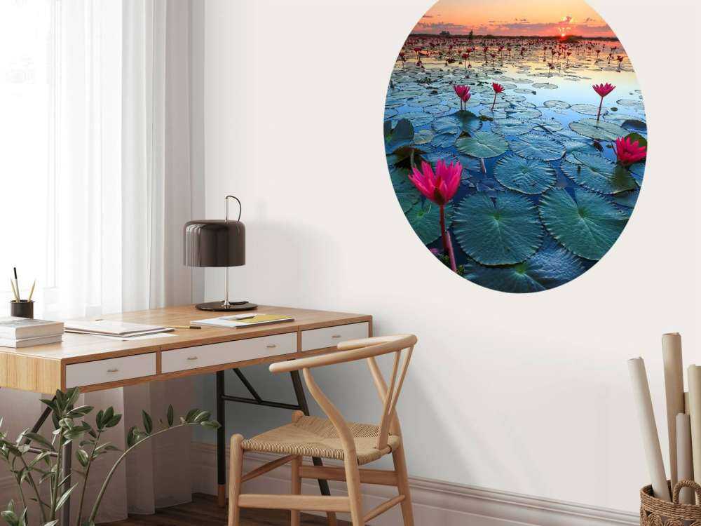 Lotusbloem bij zonsopgang