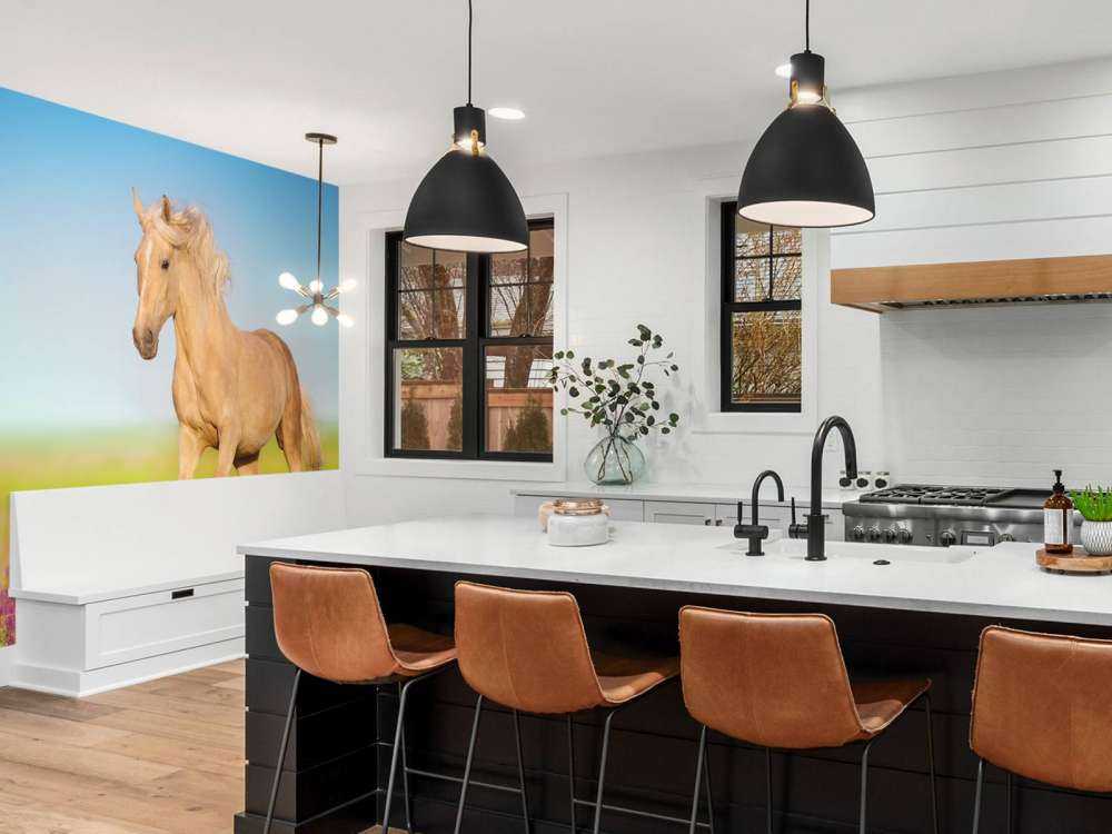 Cremello Paard in weide