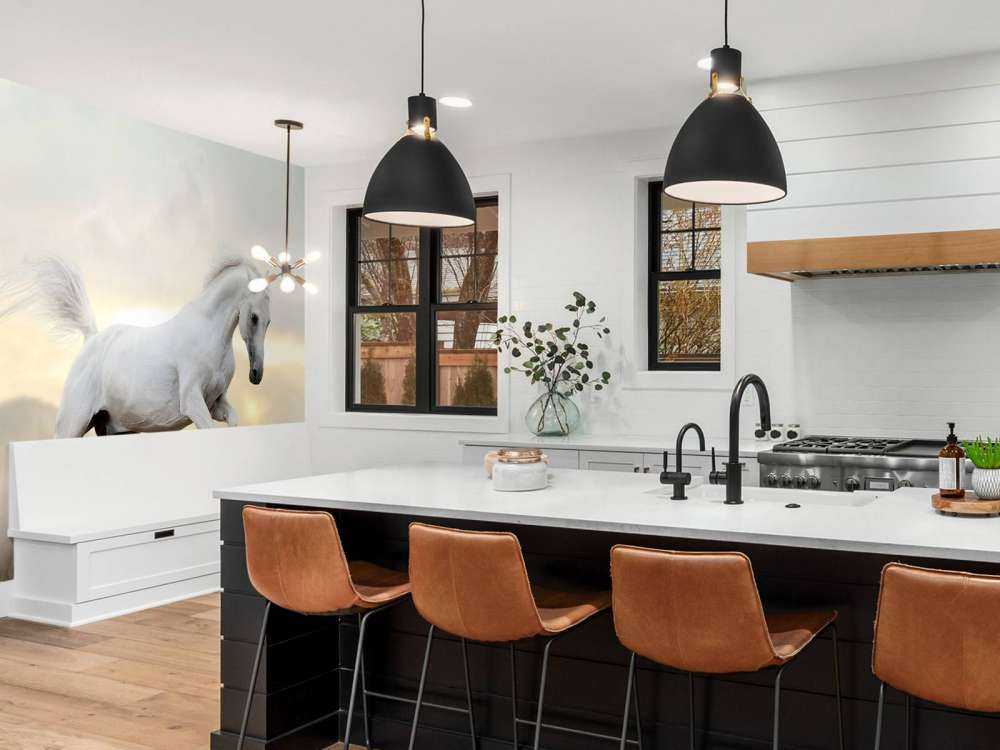 Arabische Hengst in het stof