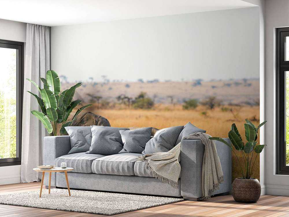 Olifant en Baby Olifant in Afrika