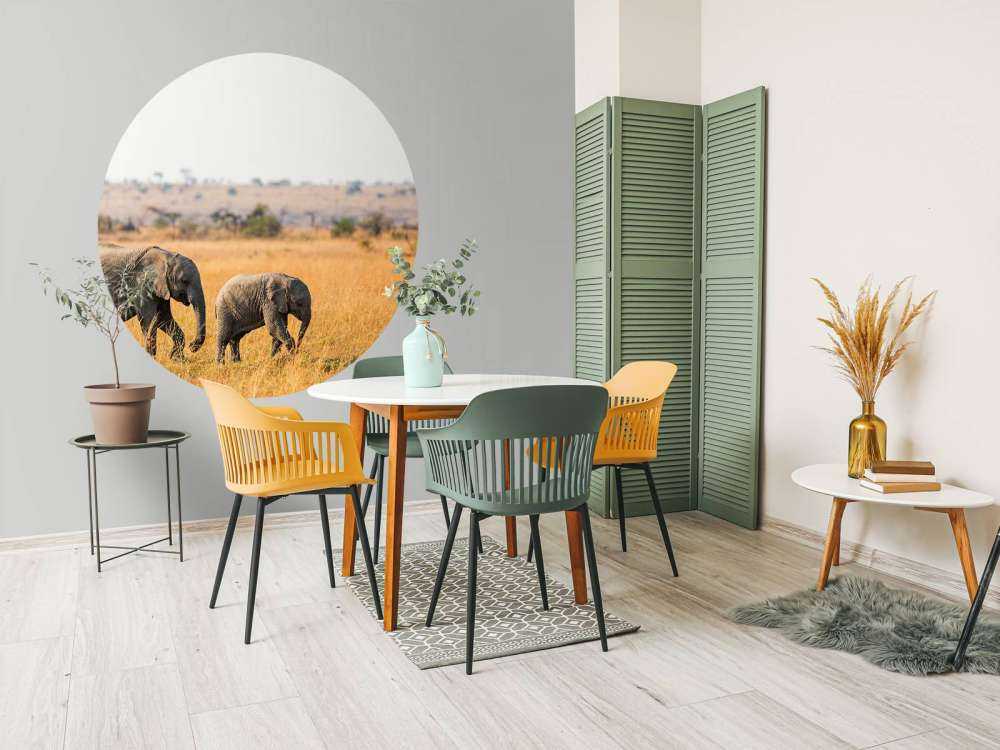 Olifant en Baby Olifant in Afrika