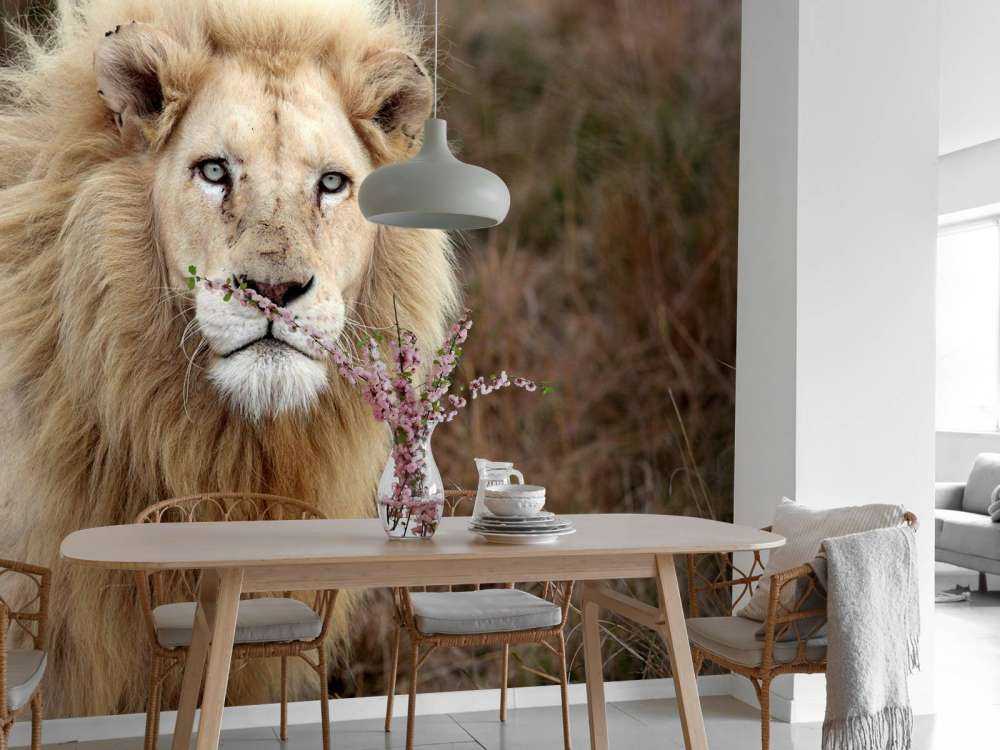 Harige Leeuw in de natuur