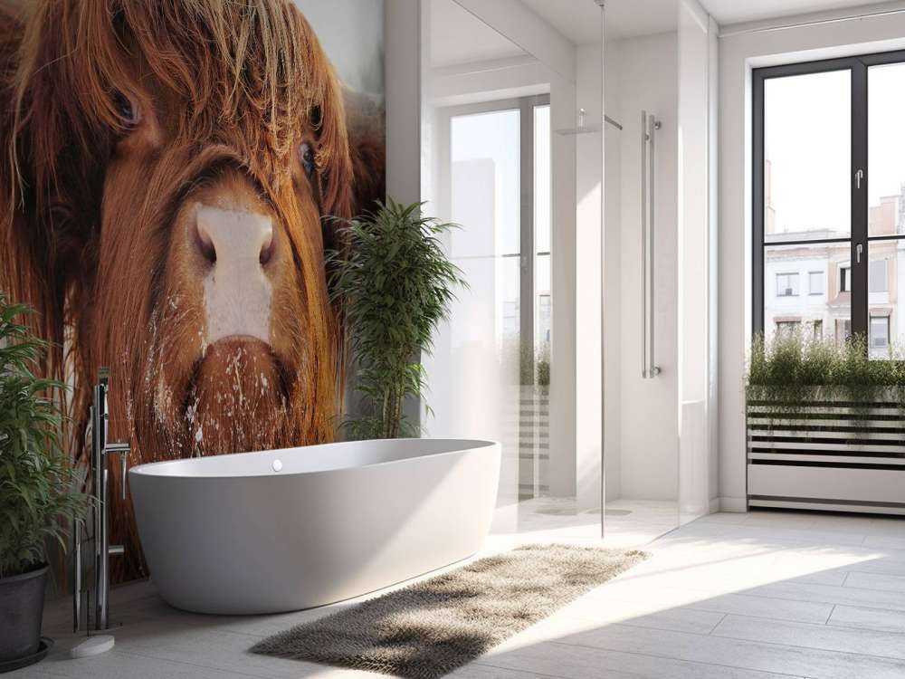 Grappige Portretfoto van Hooglander