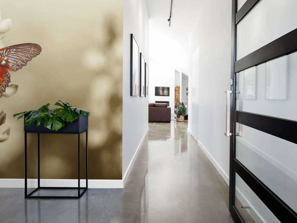 Rode Vlinder met Sepia achtergrond