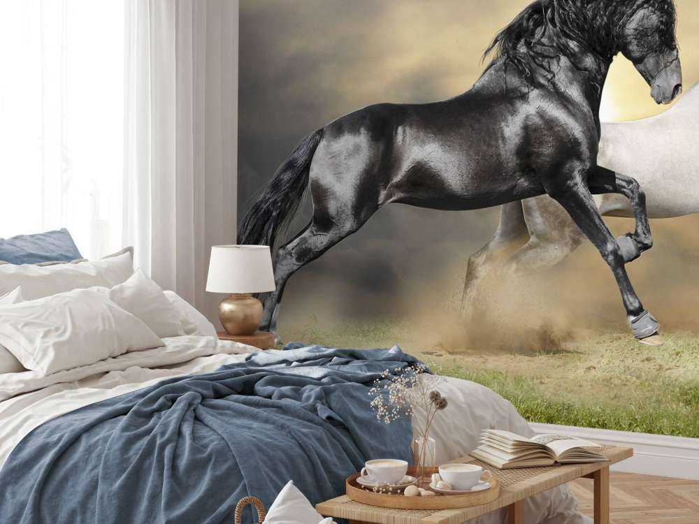 Zwart & Wit Paard op Gras