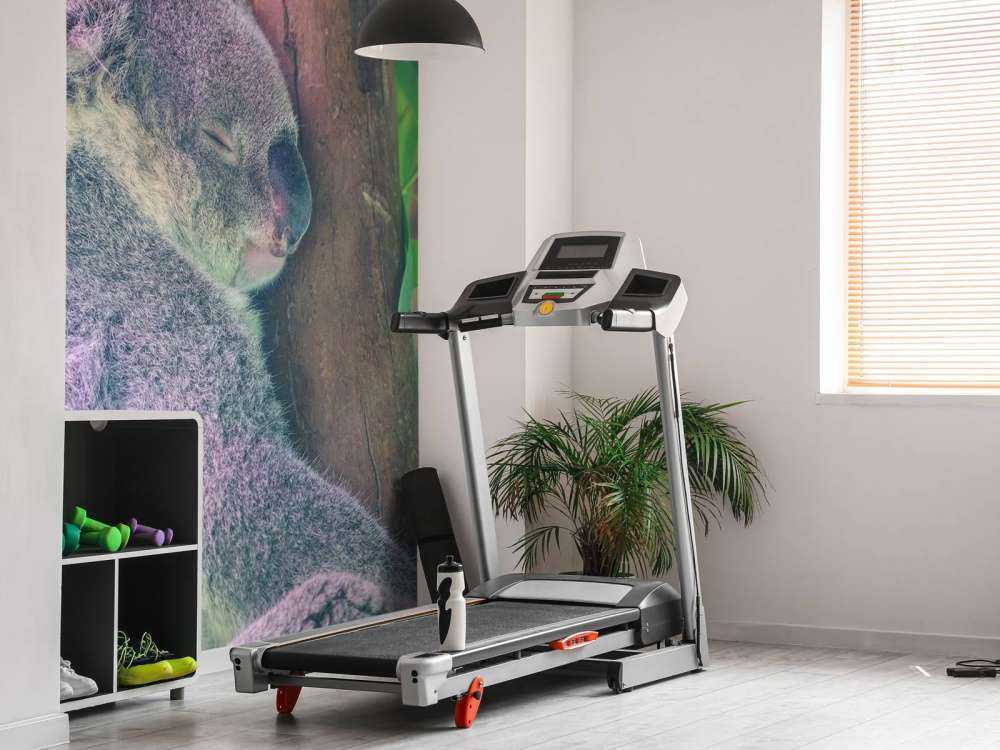 Koala aan het slapen