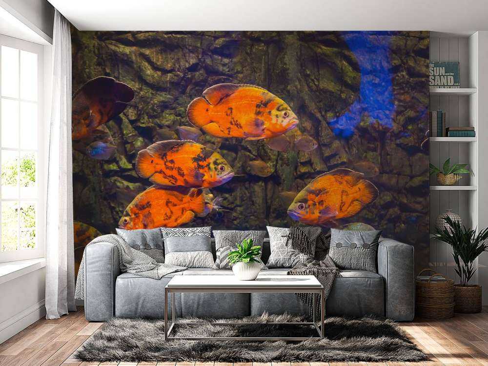 Tropische vissen en algen