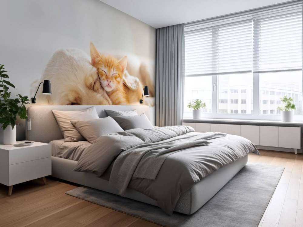 Hond en kat slapen knuffelend